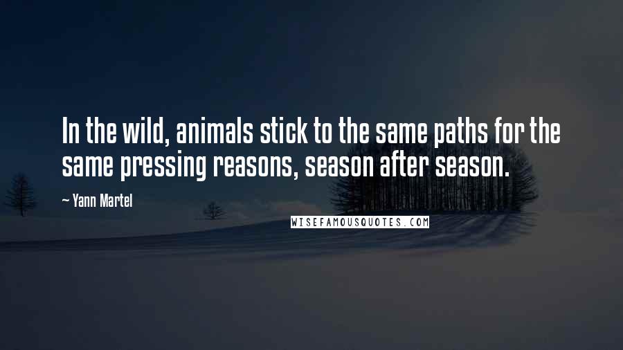 Yann Martel Quotes: In the wild, animals stick to the same paths for the same pressing reasons, season after season.