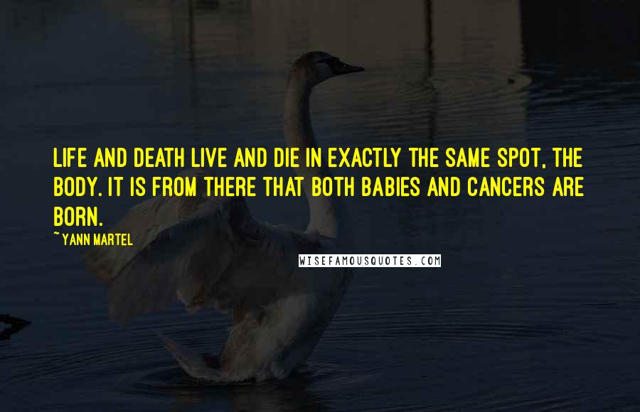 Yann Martel Quotes: Life and death live and die in exactly the same spot, the body. It is from there that both babies and cancers are born.