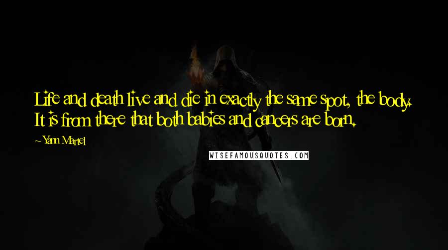 Yann Martel Quotes: Life and death live and die in exactly the same spot, the body. It is from there that both babies and cancers are born.