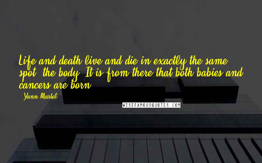 Yann Martel Quotes: Life and death live and die in exactly the same spot, the body. It is from there that both babies and cancers are born.