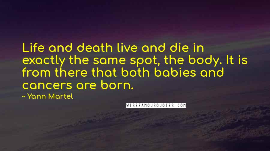 Yann Martel Quotes: Life and death live and die in exactly the same spot, the body. It is from there that both babies and cancers are born.