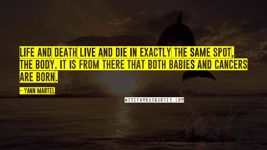 Yann Martel Quotes: Life and death live and die in exactly the same spot, the body. It is from there that both babies and cancers are born.