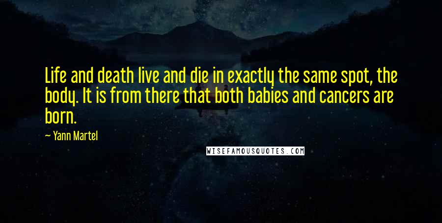 Yann Martel Quotes: Life and death live and die in exactly the same spot, the body. It is from there that both babies and cancers are born.