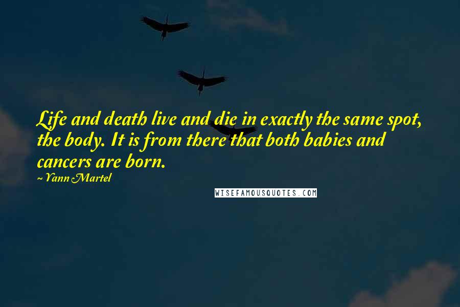 Yann Martel Quotes: Life and death live and die in exactly the same spot, the body. It is from there that both babies and cancers are born.