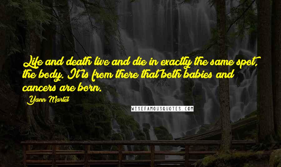 Yann Martel Quotes: Life and death live and die in exactly the same spot, the body. It is from there that both babies and cancers are born.