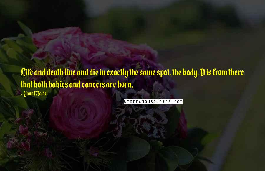 Yann Martel Quotes: Life and death live and die in exactly the same spot, the body. It is from there that both babies and cancers are born.