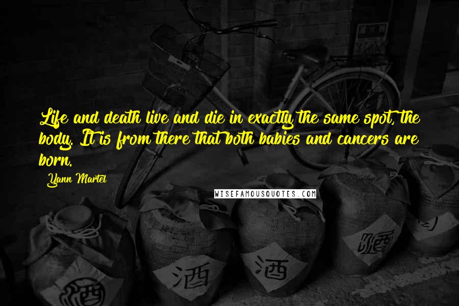 Yann Martel Quotes: Life and death live and die in exactly the same spot, the body. It is from there that both babies and cancers are born.