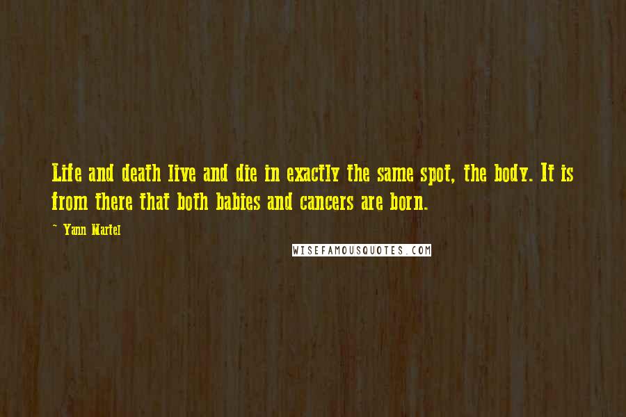 Yann Martel Quotes: Life and death live and die in exactly the same spot, the body. It is from there that both babies and cancers are born.