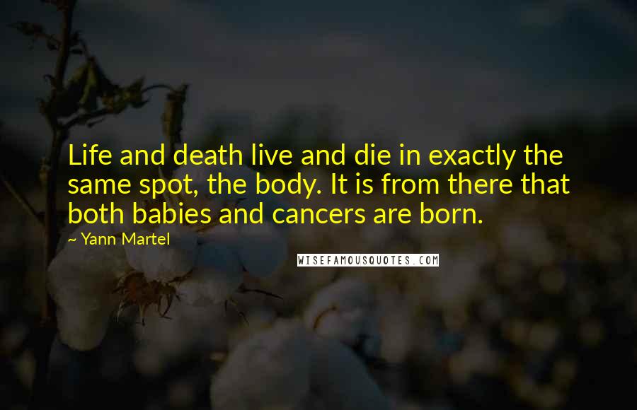 Yann Martel Quotes: Life and death live and die in exactly the same spot, the body. It is from there that both babies and cancers are born.