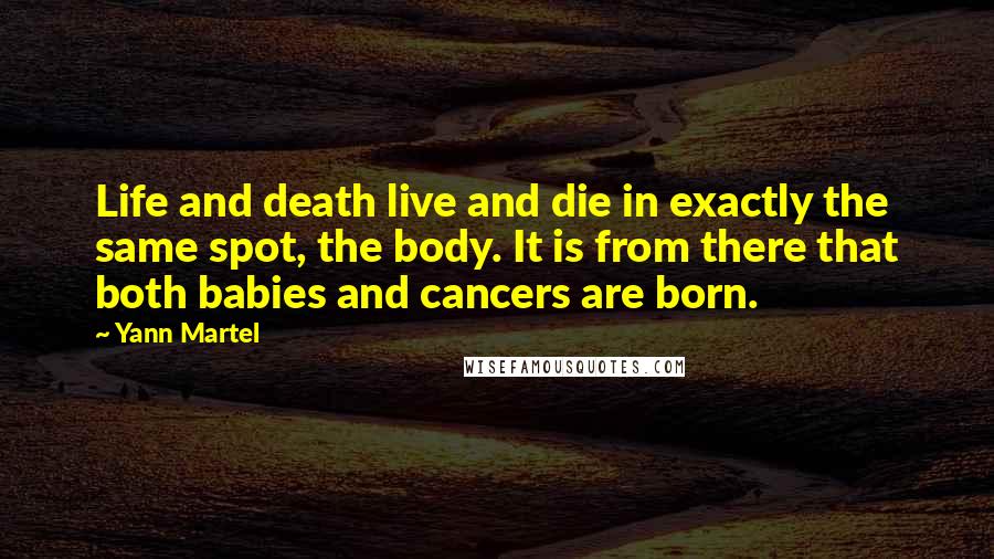 Yann Martel Quotes: Life and death live and die in exactly the same spot, the body. It is from there that both babies and cancers are born.