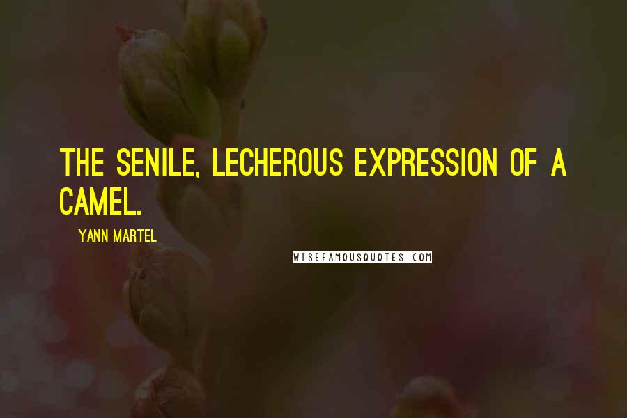 Yann Martel Quotes: the senile, lecherous expression of a camel.