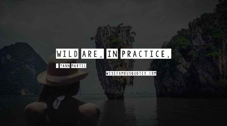 Yann Martel Quotes: wild are, in practice,