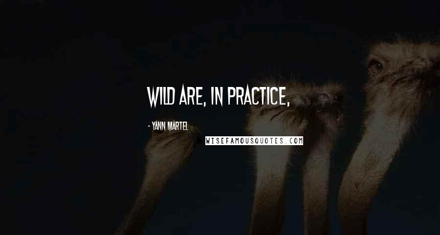 Yann Martel Quotes: wild are, in practice,