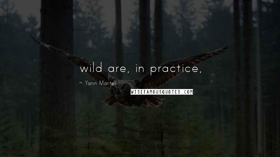 Yann Martel Quotes: wild are, in practice,