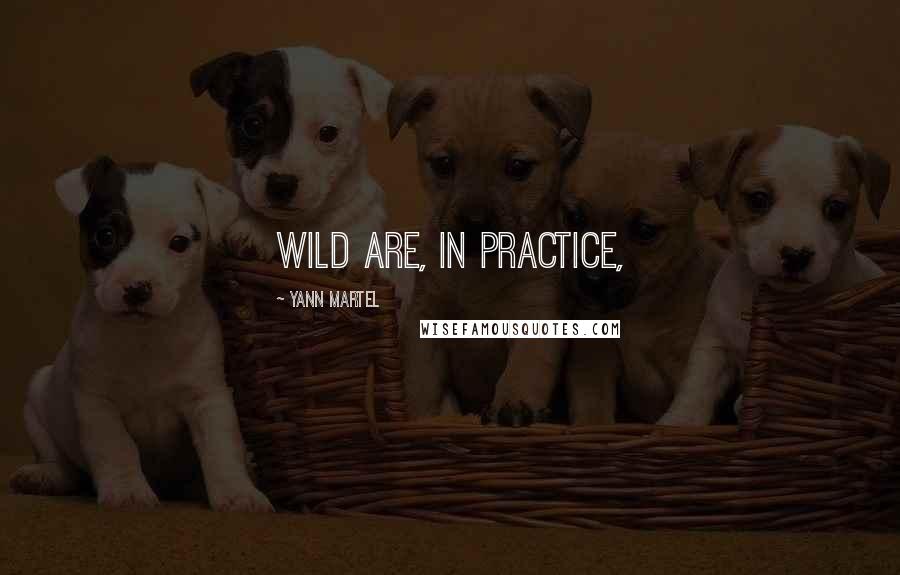 Yann Martel Quotes: wild are, in practice,