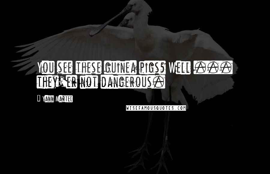 Yann Martel Quotes: You see these guinea pigs? Well ... they'er not dangerous.