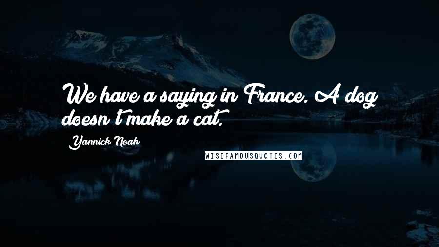 Yannick Noah Quotes: We have a saying in France. A dog doesn't make a cat.