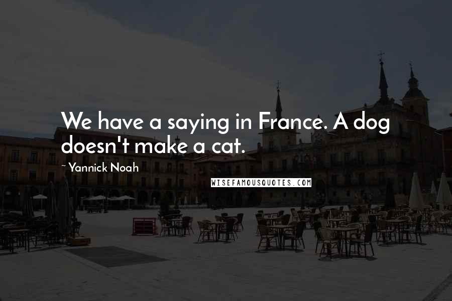 Yannick Noah Quotes: We have a saying in France. A dog doesn't make a cat.