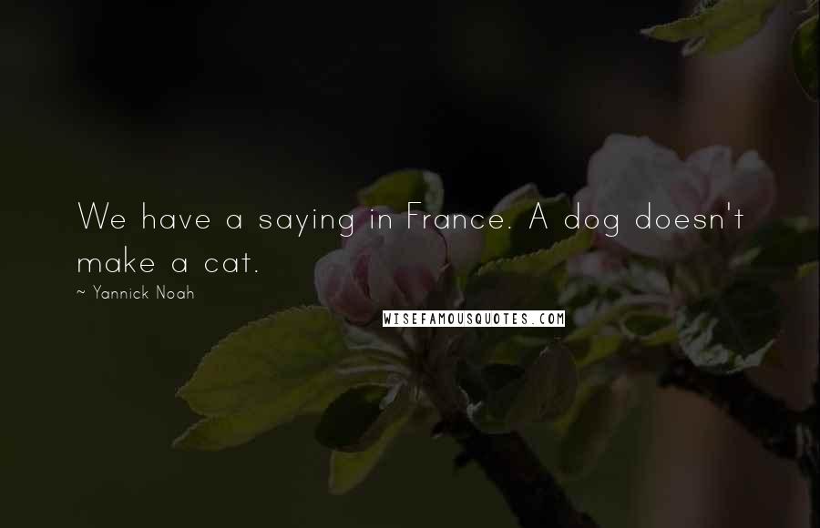 Yannick Noah Quotes: We have a saying in France. A dog doesn't make a cat.