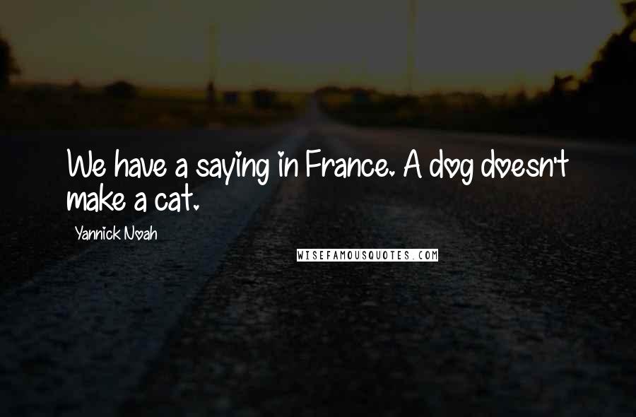 Yannick Noah Quotes: We have a saying in France. A dog doesn't make a cat.