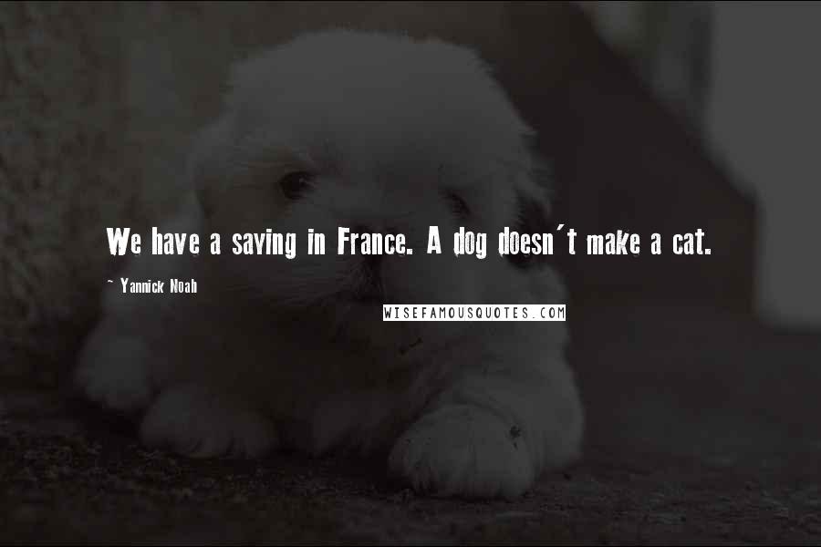 Yannick Noah Quotes: We have a saying in France. A dog doesn't make a cat.