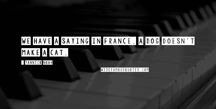 Yannick Noah Quotes: We have a saying in France. A dog doesn't make a cat.