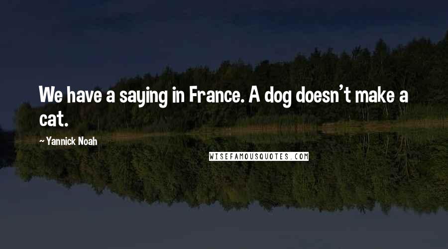 Yannick Noah Quotes: We have a saying in France. A dog doesn't make a cat.