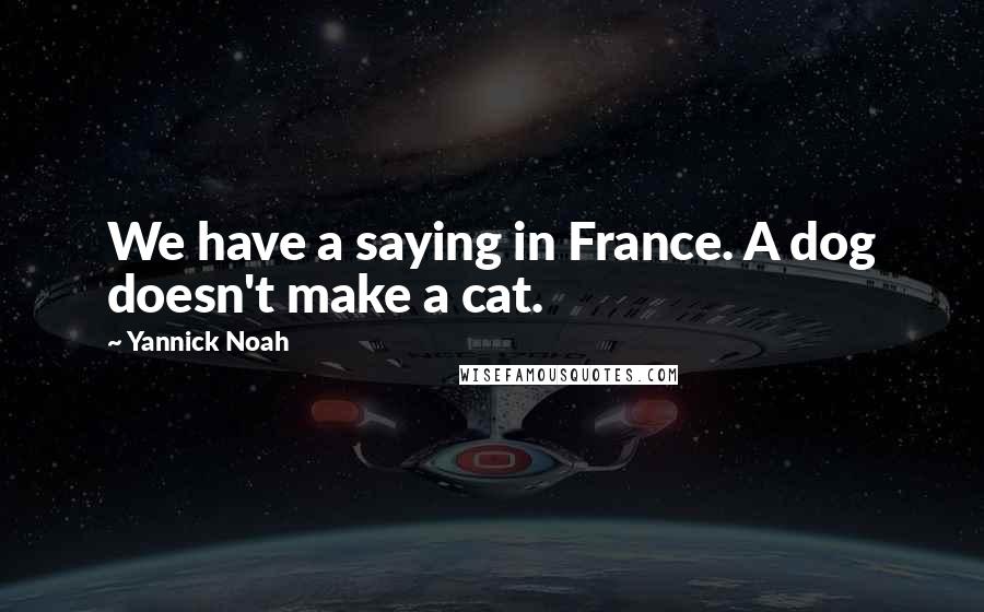 Yannick Noah Quotes: We have a saying in France. A dog doesn't make a cat.