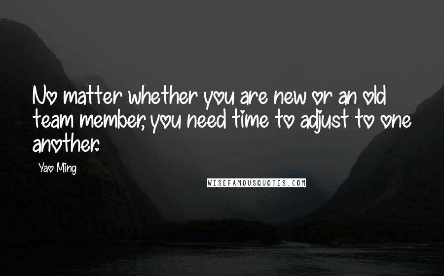 Yao Ming Quotes: No matter whether you are new or an old team member, you need time to adjust to one another.