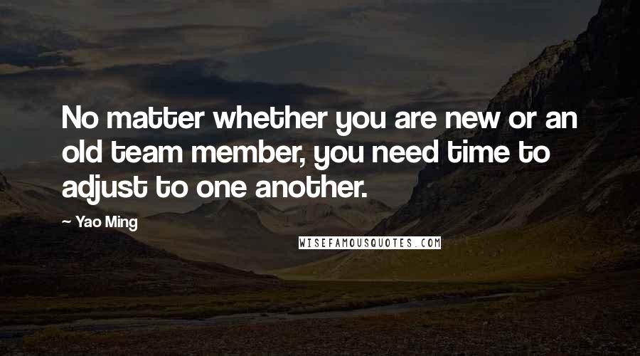 Yao Ming Quotes: No matter whether you are new or an old team member, you need time to adjust to one another.