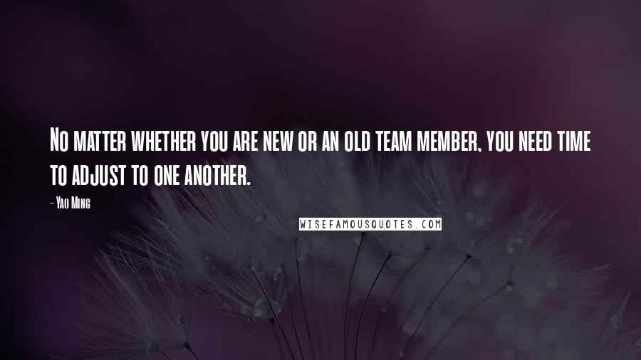 Yao Ming Quotes: No matter whether you are new or an old team member, you need time to adjust to one another.