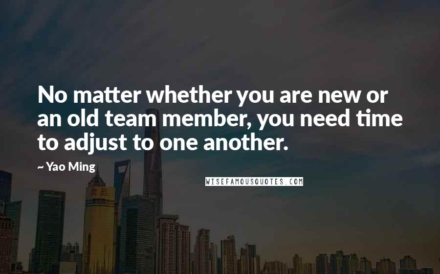 Yao Ming Quotes: No matter whether you are new or an old team member, you need time to adjust to one another.