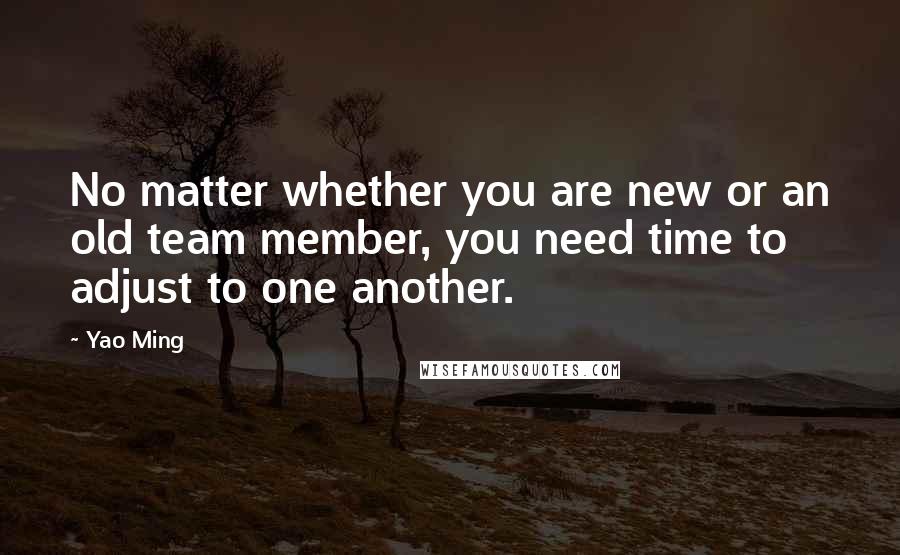 Yao Ming Quotes: No matter whether you are new or an old team member, you need time to adjust to one another.