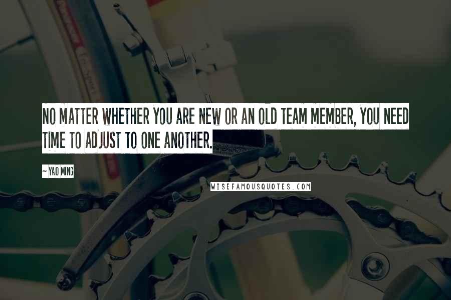 Yao Ming Quotes: No matter whether you are new or an old team member, you need time to adjust to one another.