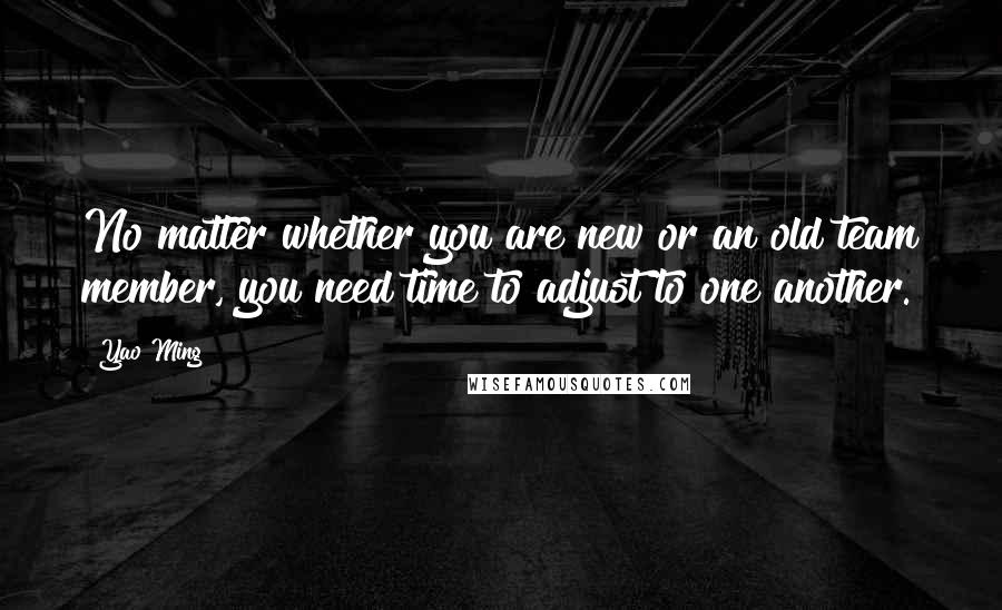 Yao Ming Quotes: No matter whether you are new or an old team member, you need time to adjust to one another.