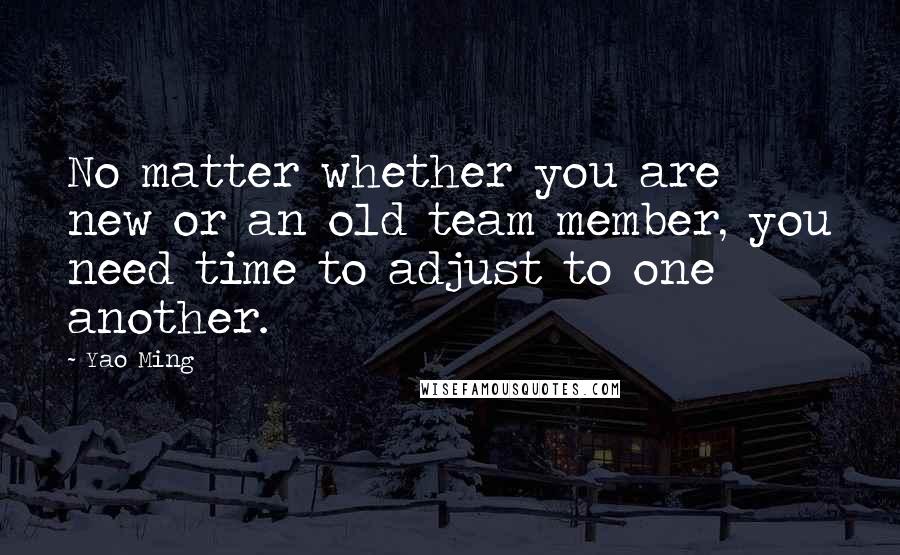 Yao Ming Quotes: No matter whether you are new or an old team member, you need time to adjust to one another.