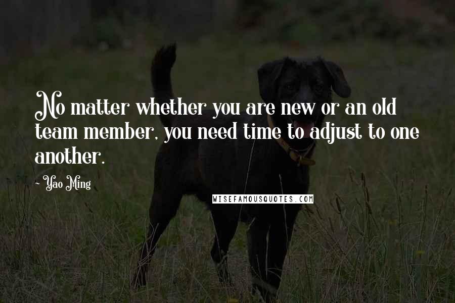 Yao Ming Quotes: No matter whether you are new or an old team member, you need time to adjust to one another.