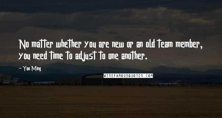 Yao Ming Quotes: No matter whether you are new or an old team member, you need time to adjust to one another.