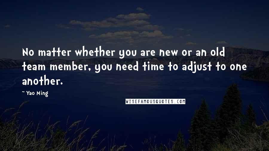 Yao Ming Quotes: No matter whether you are new or an old team member, you need time to adjust to one another.