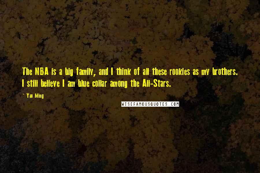 Yao Ming Quotes: The NBA is a big family, and I think of all these rookies as my brothers. I still believe I am blue collar among the All-Stars.