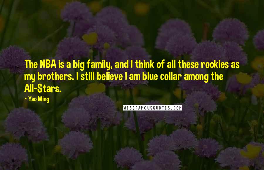 Yao Ming Quotes: The NBA is a big family, and I think of all these rookies as my brothers. I still believe I am blue collar among the All-Stars.