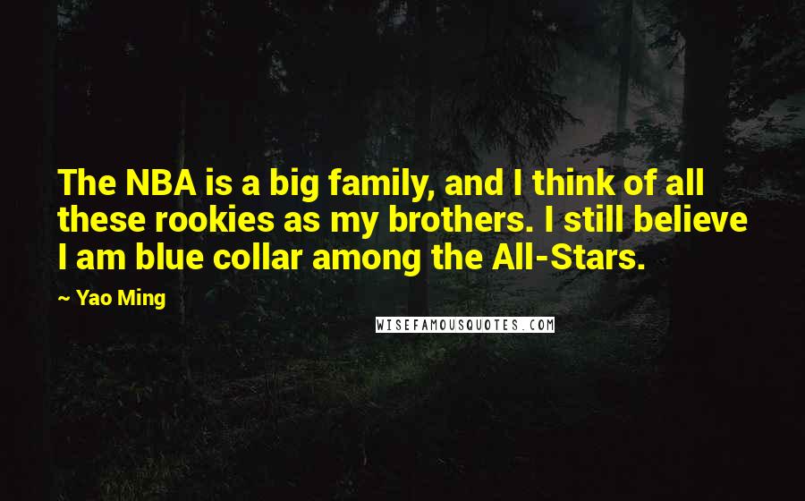 Yao Ming Quotes: The NBA is a big family, and I think of all these rookies as my brothers. I still believe I am blue collar among the All-Stars.