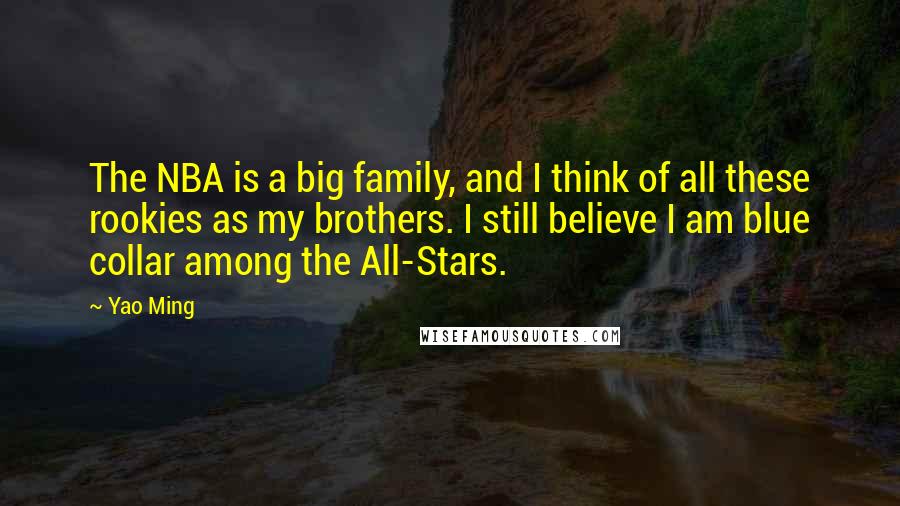 Yao Ming Quotes: The NBA is a big family, and I think of all these rookies as my brothers. I still believe I am blue collar among the All-Stars.