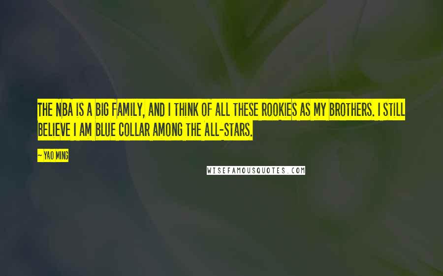 Yao Ming Quotes: The NBA is a big family, and I think of all these rookies as my brothers. I still believe I am blue collar among the All-Stars.