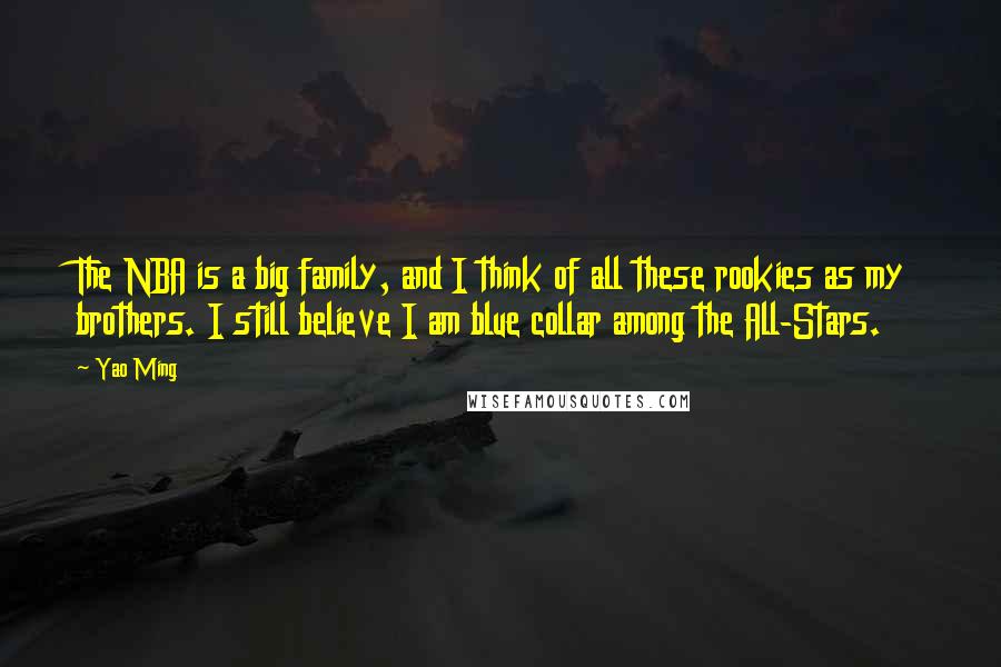 Yao Ming Quotes: The NBA is a big family, and I think of all these rookies as my brothers. I still believe I am blue collar among the All-Stars.