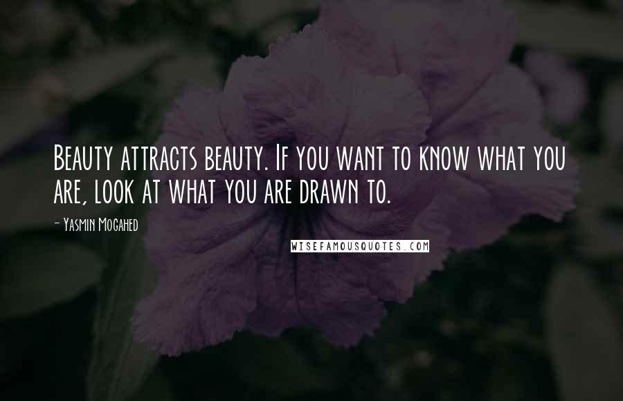 Yasmin Mogahed Quotes: Beauty attracts beauty. If you want to know what you are, look at what you are drawn to.