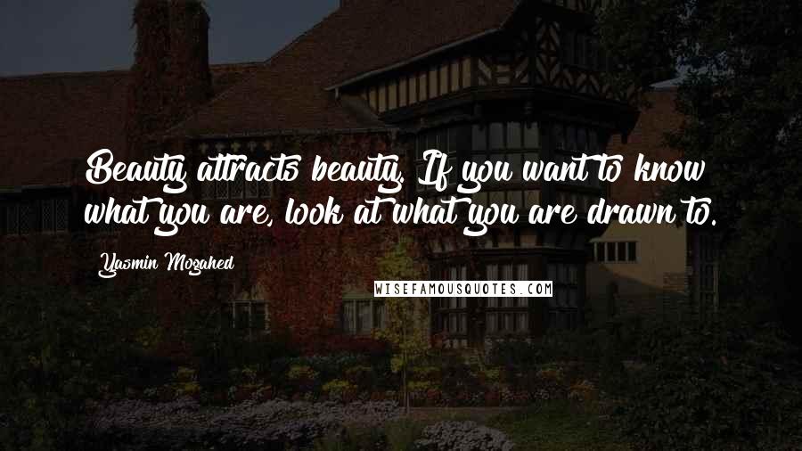 Yasmin Mogahed Quotes: Beauty attracts beauty. If you want to know what you are, look at what you are drawn to.