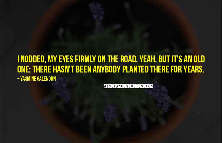 Yasmine Galenorn Quotes: I nodded, my eyes firmly on the road. Yeah, but it's an old one; there hasn't been anybody planted there for years.