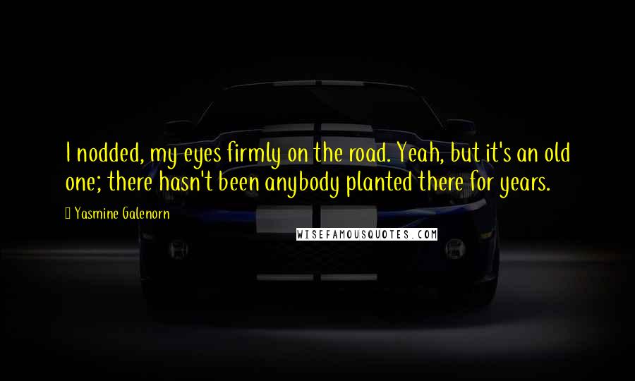 Yasmine Galenorn Quotes: I nodded, my eyes firmly on the road. Yeah, but it's an old one; there hasn't been anybody planted there for years.