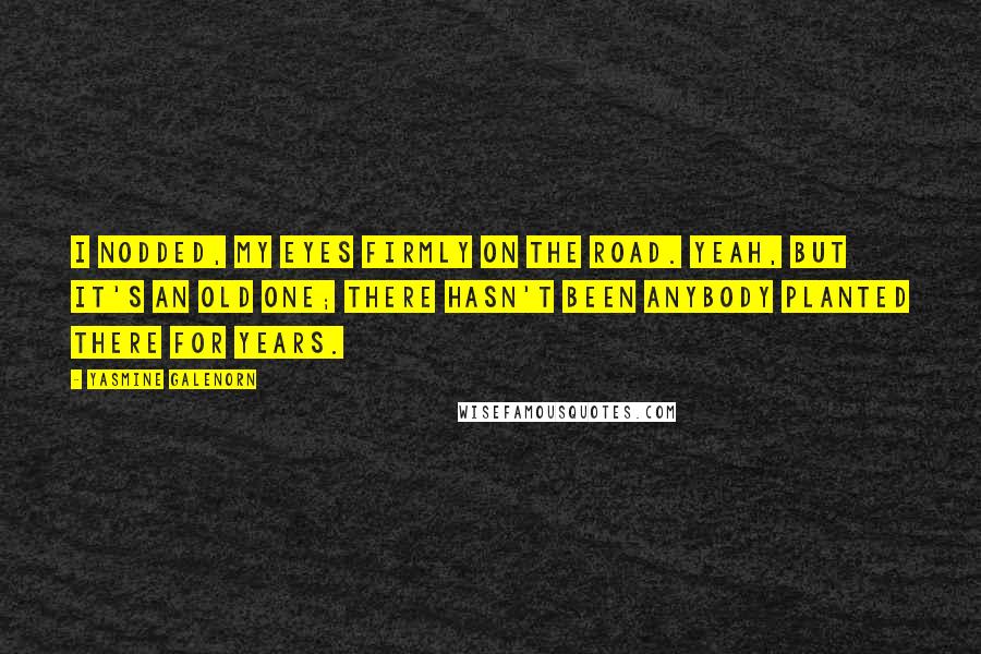 Yasmine Galenorn Quotes: I nodded, my eyes firmly on the road. Yeah, but it's an old one; there hasn't been anybody planted there for years.